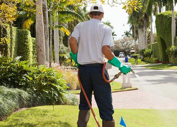 About Green Forest AR Pest Control Pros